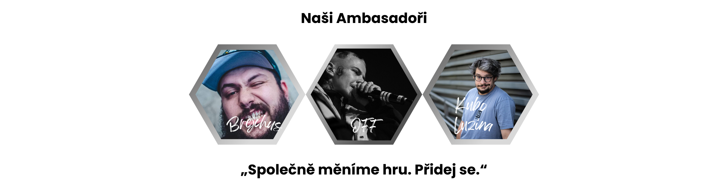 Naši Ambasadoři